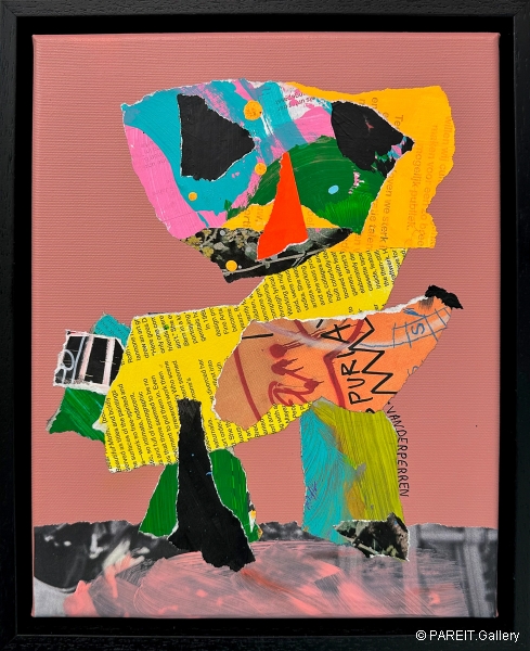 VANDERPERREN Klaas - The pill popper